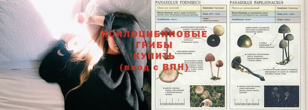 индика Алексеевка