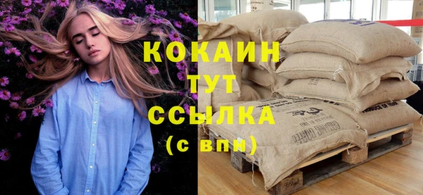 шишки Алзамай