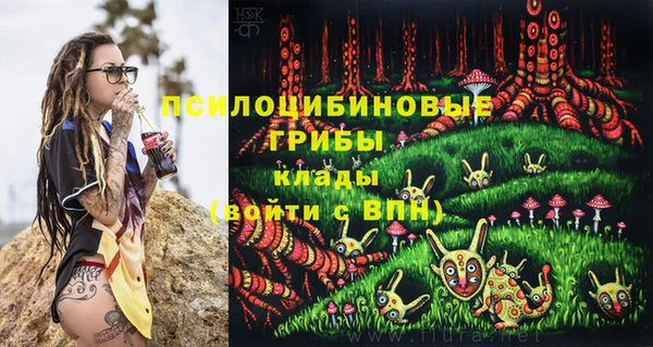 индика Алексеевка