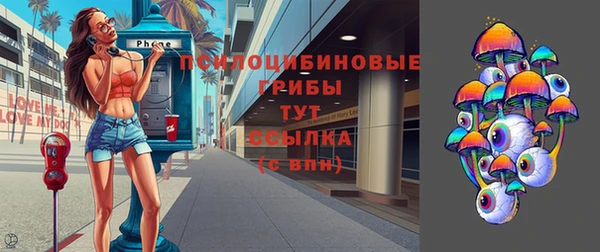 шишки Алзамай