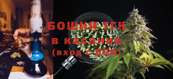 шишки Алзамай