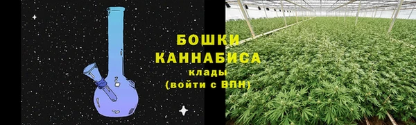 шишки Алзамай