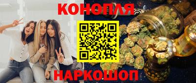шишки Новозыбков