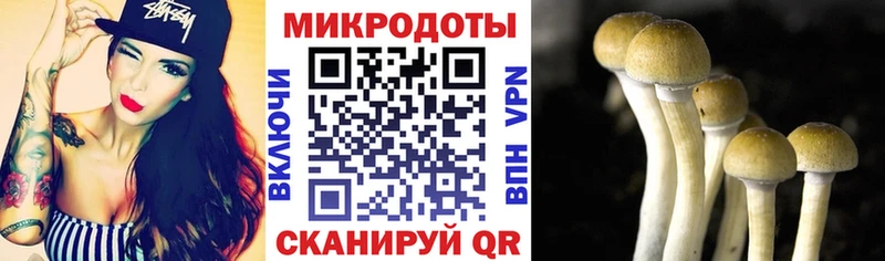 цена наркотик  Саров  Галлюциногенные грибы мухоморы 