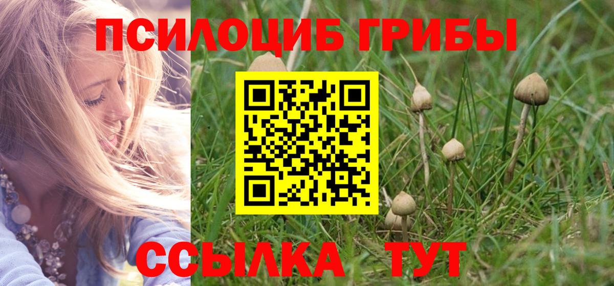 Галлюциногенные грибы Magic Shrooms Саров