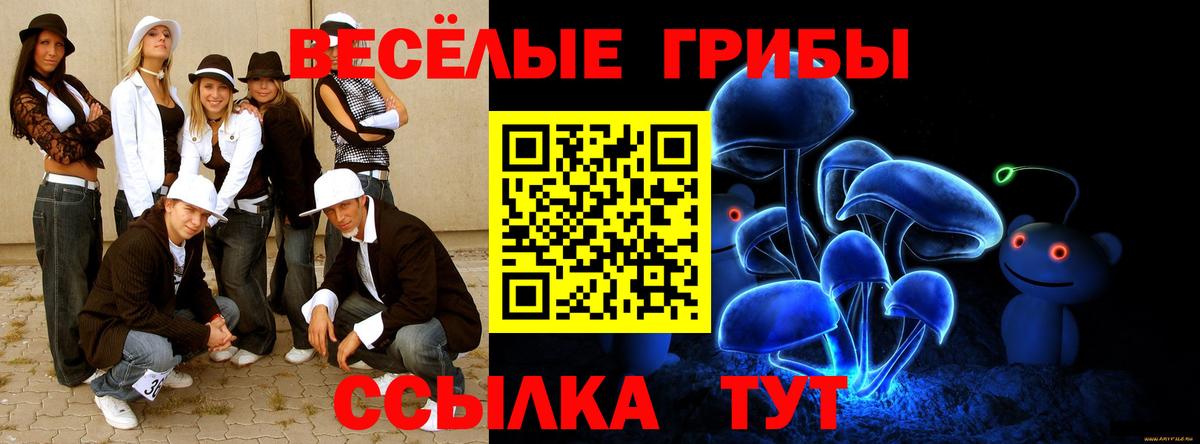 ГАШ Саров