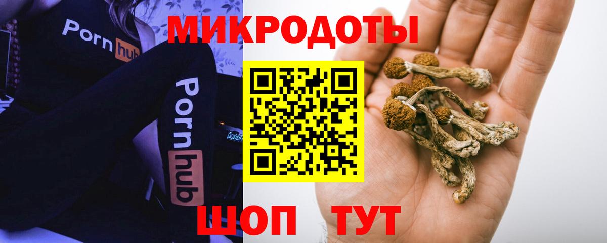 Галлюциногенные грибы мицелий  Вход с VPN  купить наркоту  Саров 